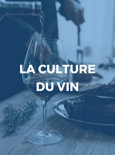 culture_du_vin