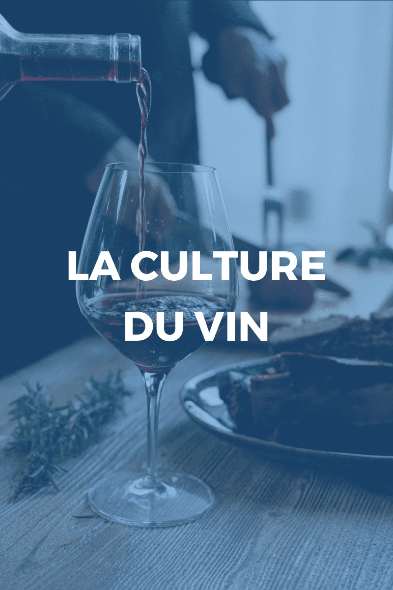 Ulule - 🍷 Développez votre culture du vin avec style !